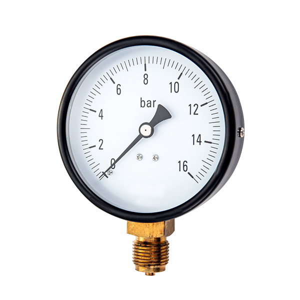 100mm bottom  pressure gauge with special internal part OKT-53