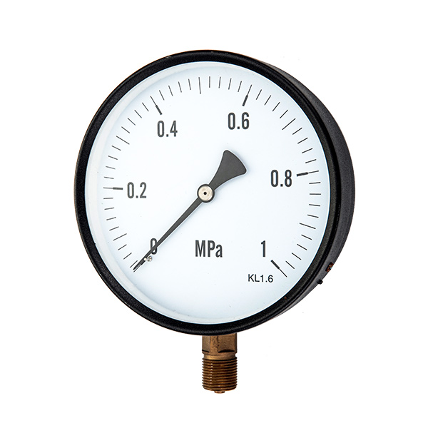 100mm bottom  pressure gauge with special internal part OKT-54